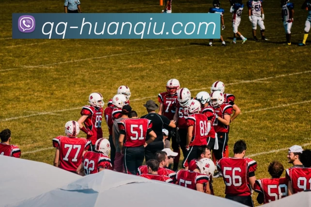 环球体育平台生态图